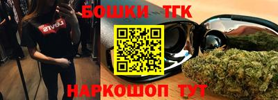 гашик Шахты