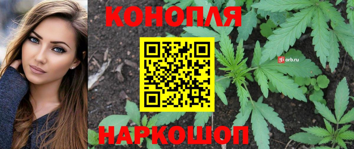 Бошки Шишки сатива  Вход с VPN  МАРИХУАНА VHQ  Волгодонск 